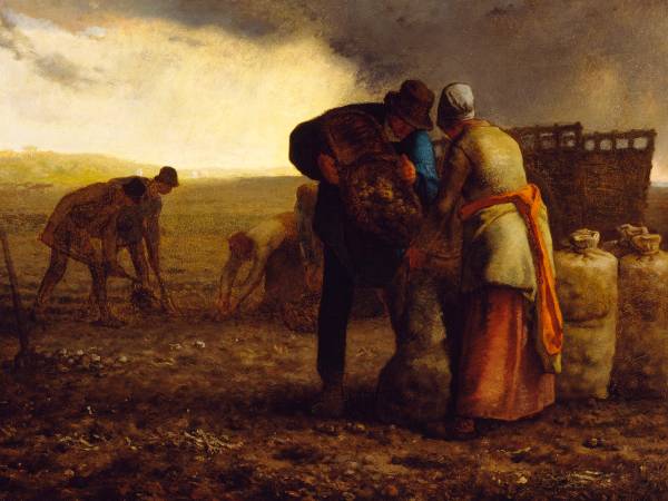 The Potato Harvest, 1855. A painting by the French artist Jean-François Millet.