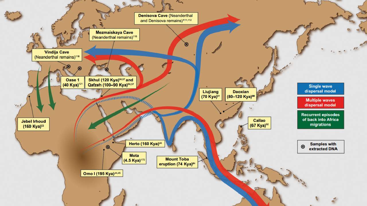 Early Human Migrations